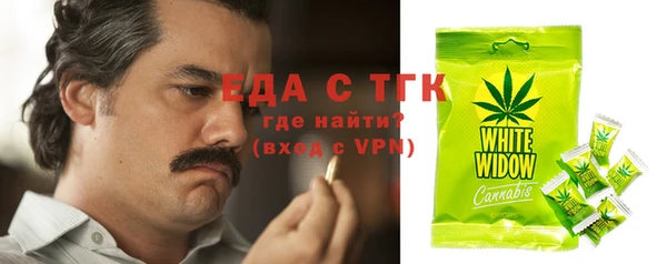 гидра Бородино