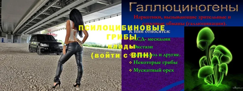 что такое   Дмитровск  Галлюциногенные грибы мицелий 